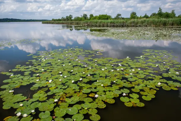 La Belgique rejoint le Réseau mondial des réserves de biosphère de l’UNESCO